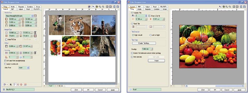 color print rip software free download